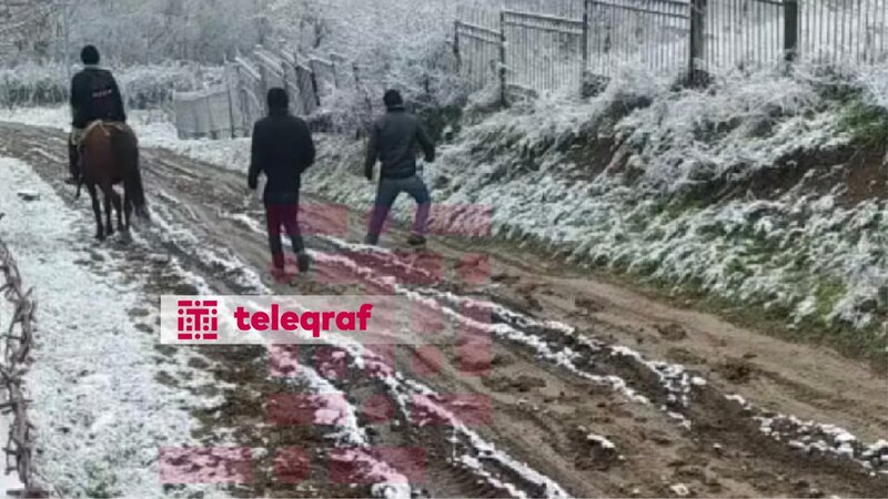 Yardımlıda şagirdlər qonşu kənd məktəbinə atla gedib-gəlməyə məcburdurlar -