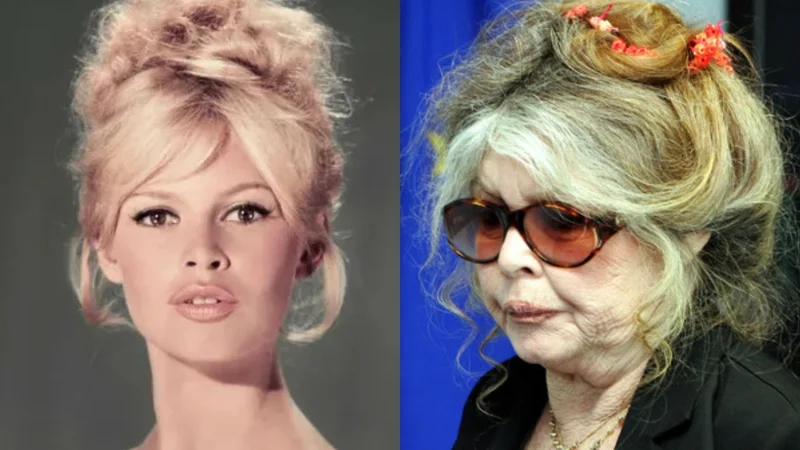 Bricit Bardo 91 yaşında vəfat etdi