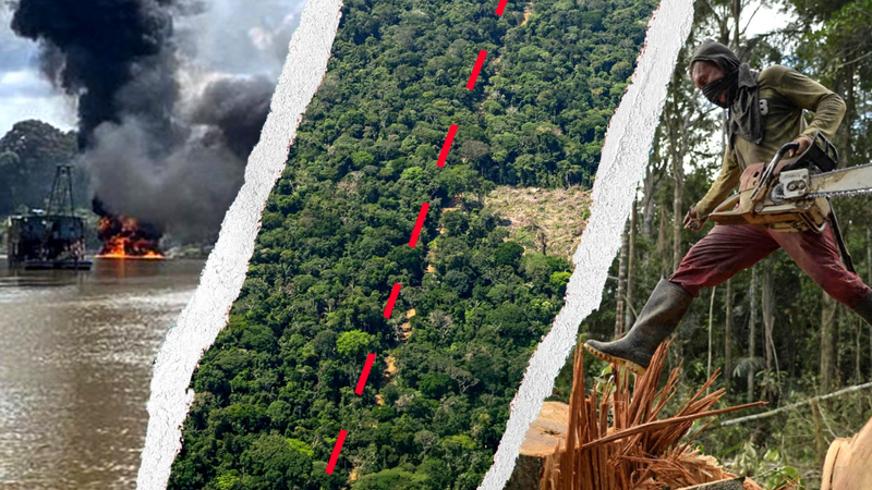 Kolumbiya Amazonu kriminal şəbəkələrin nəzarətinə keçir: