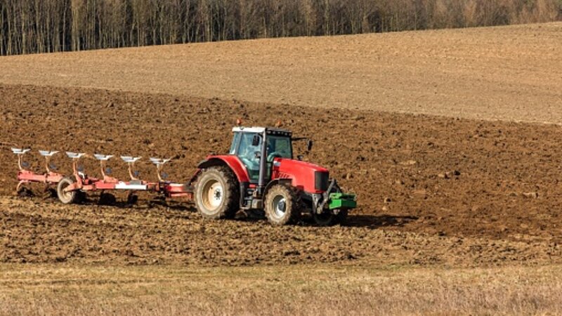 Bölgələrdə dən və yaşıl yem üçün payızlıq bitki səpini aparılıb