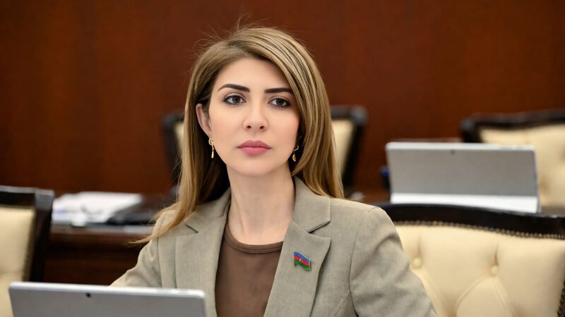 Rəqəmsallaşma dövlət idarəçiliyinin və bütövlükdə cəmiyyətin inkişafının əsas istiqamətlərindəndir-