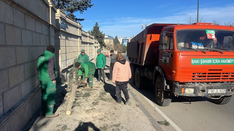 Küləkli hava paytaxt təsərrüfatına ziyan vurdu -