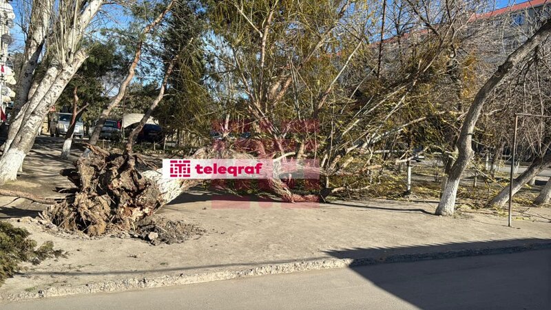 Sumqayıtda güclü külək fəsadlar yaratdı -
