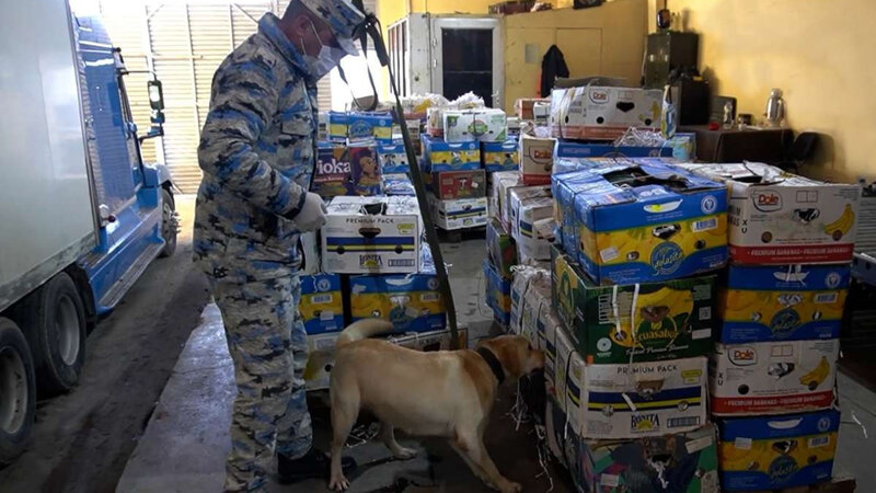 Astarada qarpızın içində narkotik aşkarlandı