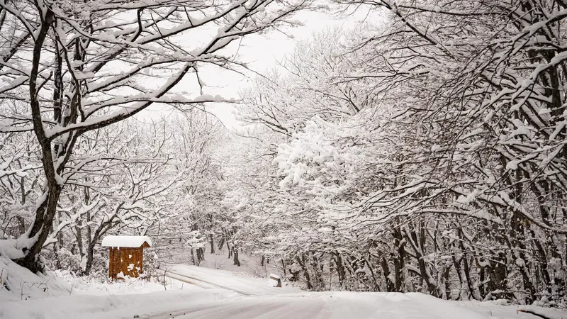 Gürcüstan sinoptikləri xəbərdarlıq etdi