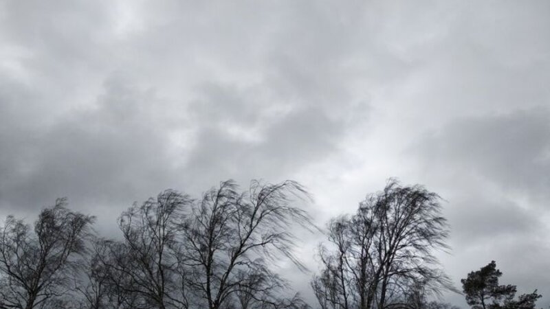 Gecə bəzi rayonlarda yağıntı, güclü külək qeydə alındı -