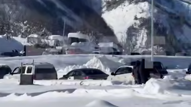 Yüzlərlə avtomobil Rusiya-Gürcüstan sərhəddində qalıb