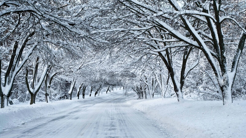 Şahbuzda qarın hündürlüyü 48 sm-ə çatdı -