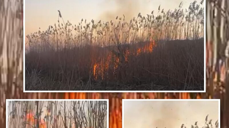 Cəbrayılda yanğın törədən şəxs məsuliyyətə cəlb olundu