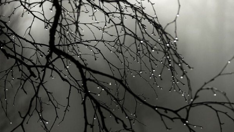 Sabahın havası açıqlandı