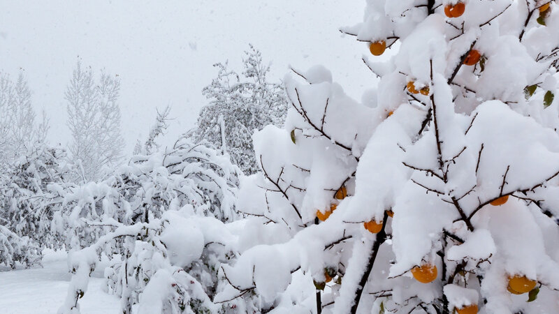 Azərbaycanda yağış və qar yağır -