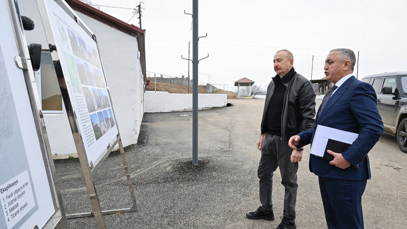 Prezident Çıldıran kəndində görülmüş işlərlə tanış oldu -