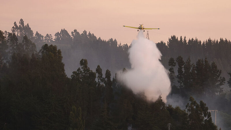 Çilidə meşə yanğınları nəticəsində ölənlərin sayı 19-a çatıb