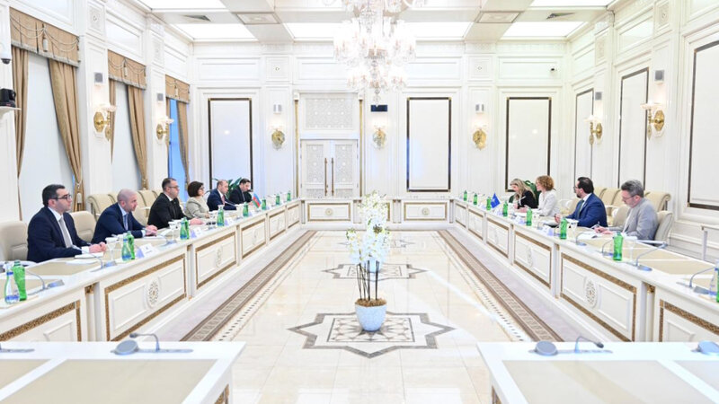 Milli Məclisin sədri NATO Baş katibinin müavini ilə görüşdü