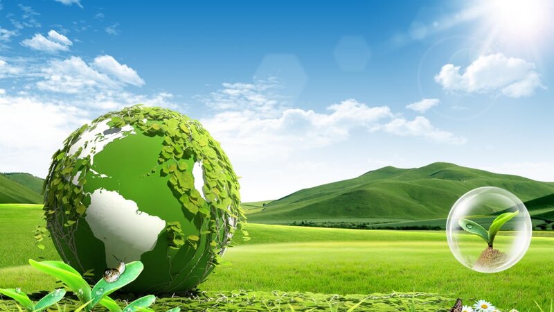 Fövqəladə halların ekosistemə mümkün təsirinə dair dəyirmi masa keçiriləcək