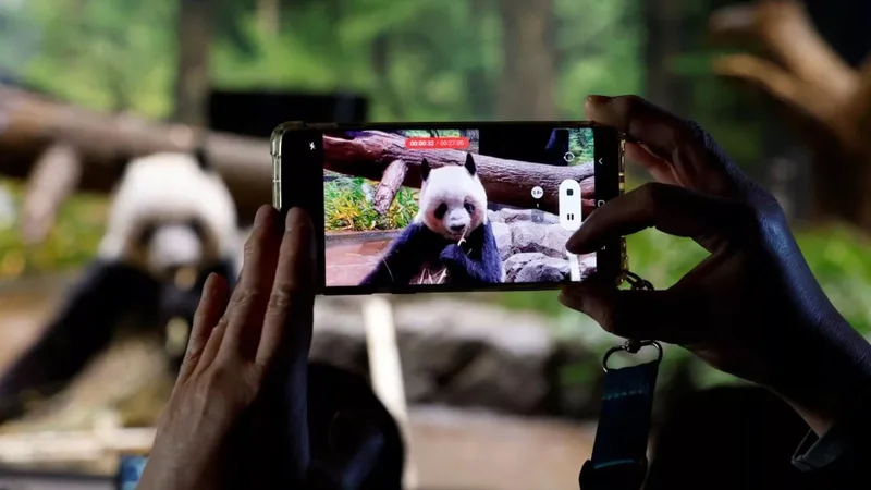 Yaponiya son pandalarını Çinə qaytardı