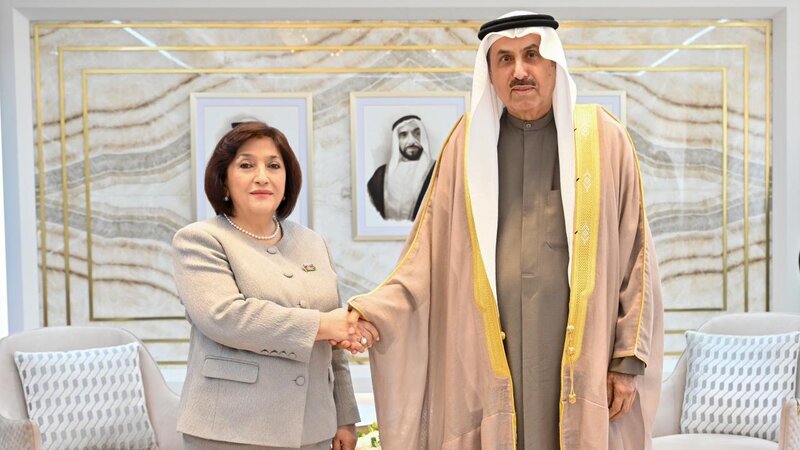 Milli Məclisin sədri BƏƏ-nin Federal Milli Şurasının sədri ilə görüşdü