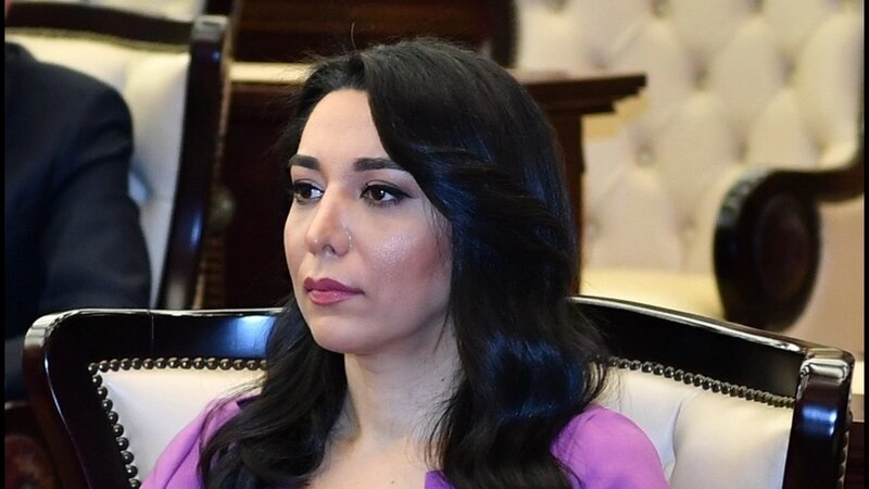 Ombudsman: Uşaq hüquqlarının müdafiəsi dövlət siyasətinin prioritet istiqamətlərdəndir