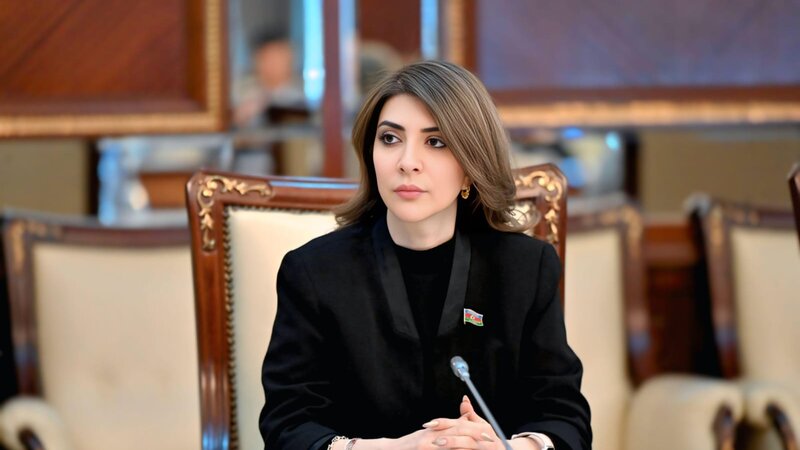 Deputat: Azərbaycan uşaq hüquqları sahəsində yeni və daha yetkin mərhələyə keçib