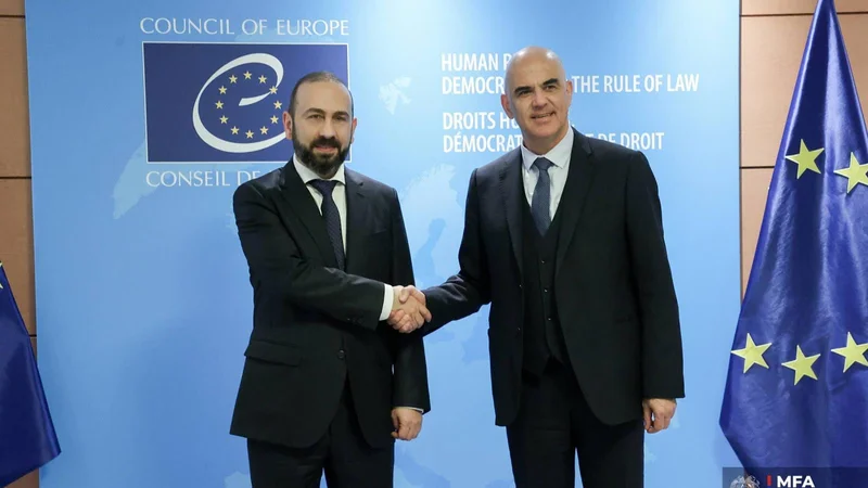 Mirzoyan Avropa Şurasının Baş katibi ilə Cənubi Qafqazdakı vəziyyəti müzakirə etdi