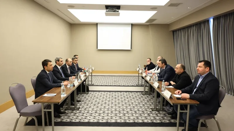 ADY sədri gürcüstanlı həmkarı ilə görüşdü