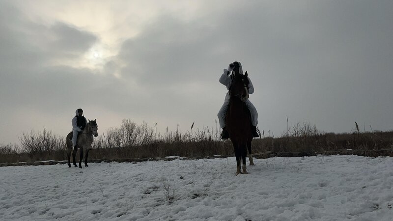 DSX: Axtarışda olan 302 nəfər sərhəddə tutulub