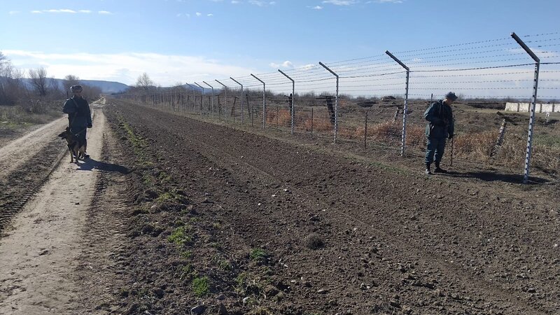 DSX: Yanvarda 120 kq-dan çox narkotik dövriyyədən çıxarıldı