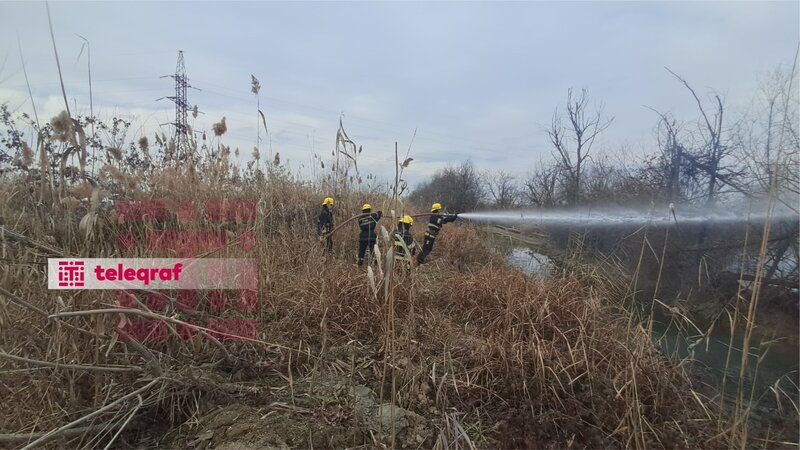 Ağcabədidə əkin sahəsində yanğın baş verib -