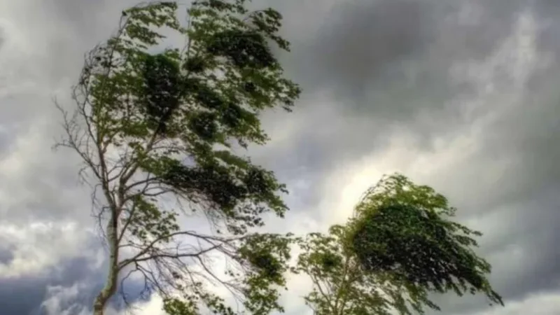 Külək güclənəcək -