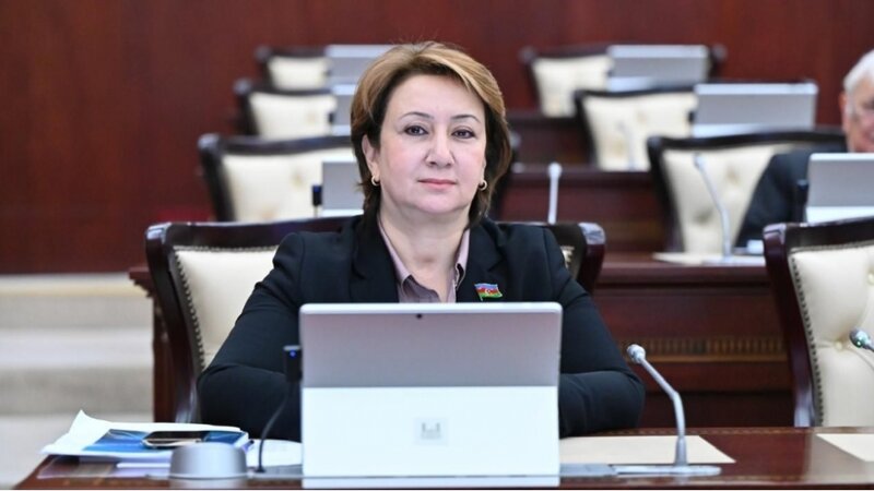 "Təyyarə qəzası ilə bağlı kompensasiya məsələsinin həlli regional diplomatiyanın nümunəsidir"