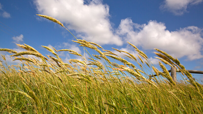 Küləyin sürəti güclənəcək -