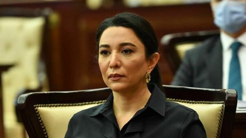 Ombudsman kiçik elektrik nəqliyyat vasitələrinin istifadəsinə dair müraciət etdi