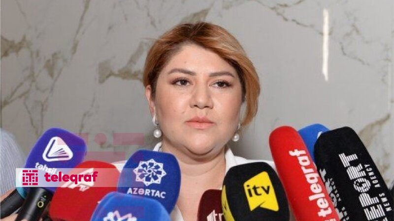 Bu il Dövlət Proqramı çərçivəsində 4121 təhsil proqramı təsdiq olunub