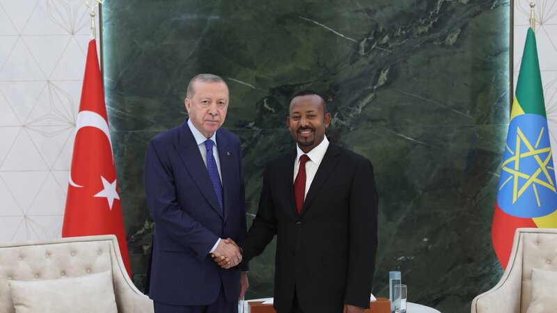 Ərdoğan Efiopiyanın Baş naziri ilə görüşdü