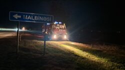 Yevlaxda meşə ərazisində yanğın başlayıb -