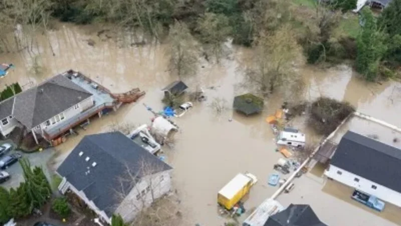 Vaşinqtonda kanalizasiya sularının çaya sızmasına görə fövqəladə vəziyyət elan edildi