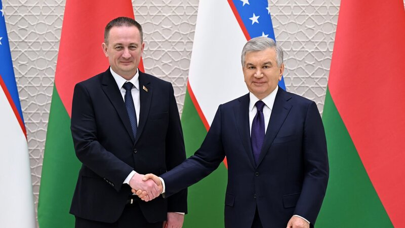 Özbəkistan Prezidenti Aleksandr Turçini qəbul etdi