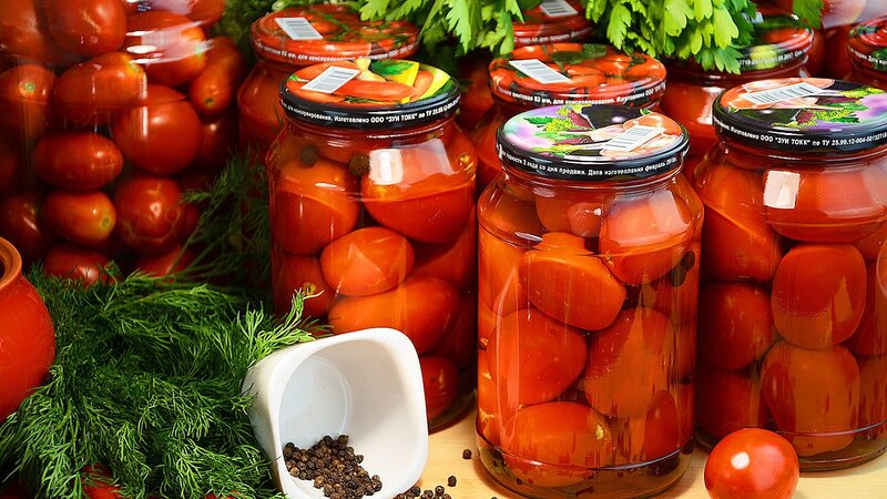 Ötən ay ən çox qida zəhərlənməsi pomidor turşusundan olub