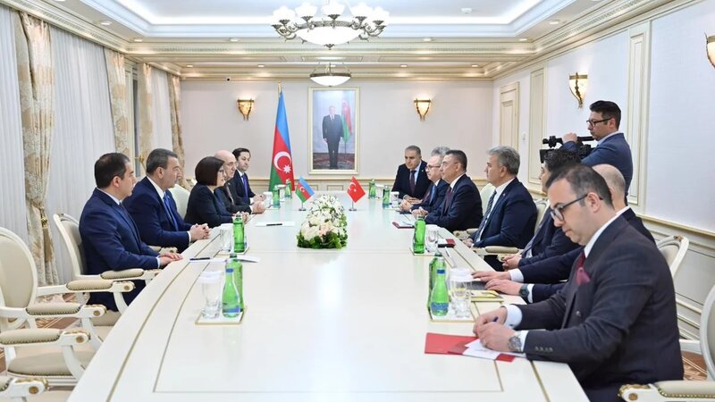 Sahibə Qafarova TBMM-nin Xarici əlaqələr komitəsinin sədri ilə görüşüb