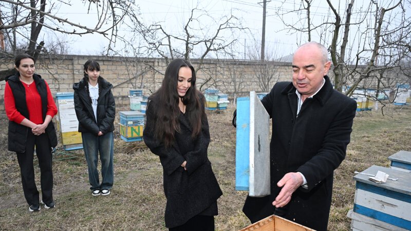 Leyla Əliyeva Qubada arıçı ailəsinin qonağı olub