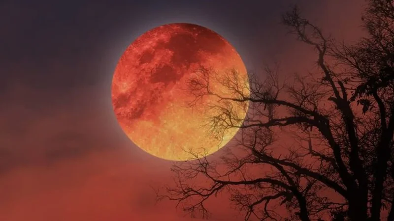 Martın 3-də ilin ilk Ay tutulması baş verəcək