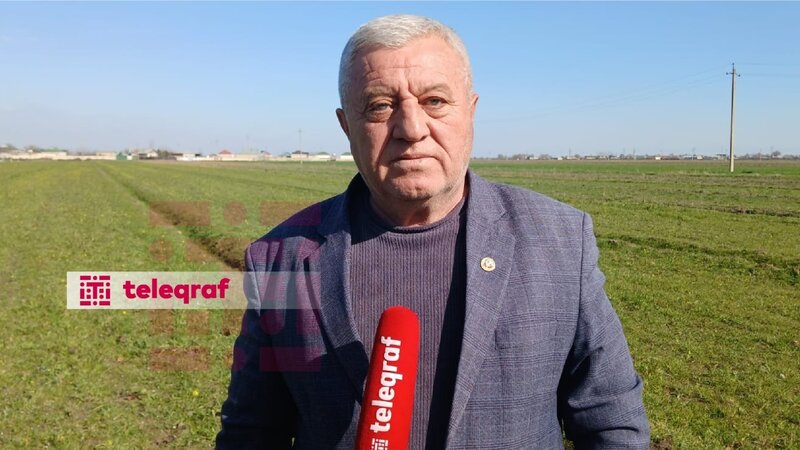 Ağdamın əkin sahələri və bağları təhlükə altında: Gəmiricilər peyda oub -