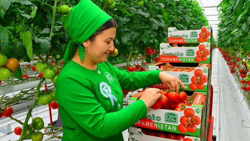 Müharibə Türkmənistanda bahalaşmaya səbəb oldu