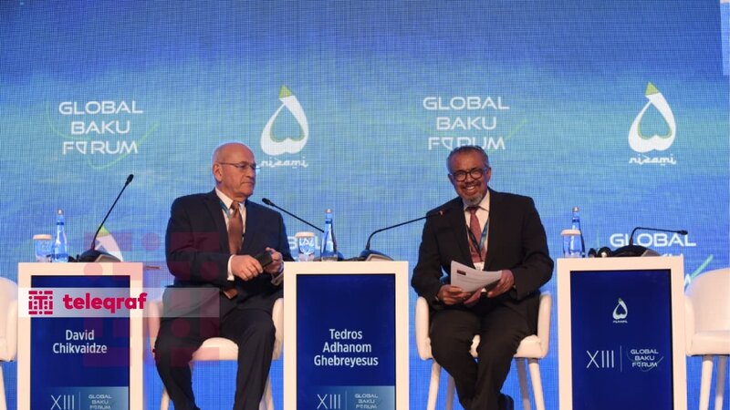 XIII Qlobal Bakı Forumu çərçivəsində “BMT 80+” mövzusunda panel keçirildi