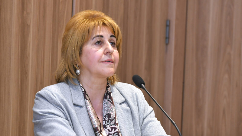 İradə Hüseynova: Qarabağda çayların illik su ehtiyatı 831,7 kubmetrdir