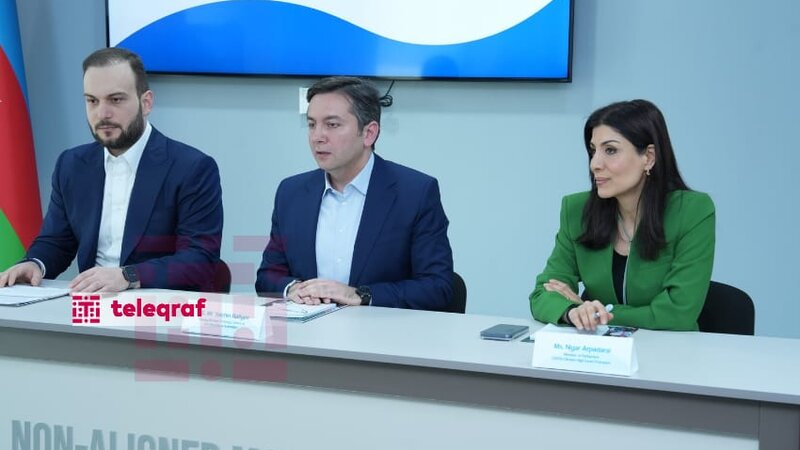 Nigar Arpadarai: Türkiyənin COP31-ə ev sahibliyi uğurlu olacaq