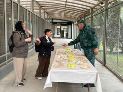 Daha 9 xarici vətəndaş Azərbaycan vasitəsilə təxliyə olundu