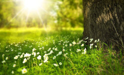 Sabah 23 dərəcə isti olacaq