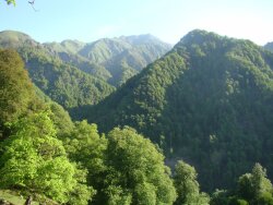 Qəbələdə kişi dağda yıxıldı-