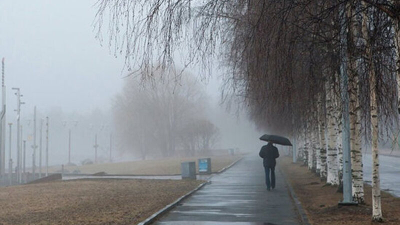 Ölkə ərazisinin bəzi yerlərində yağıntılı hava şəraiti müşahidə olunub -
